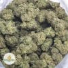 SOUR-TANGIE-3