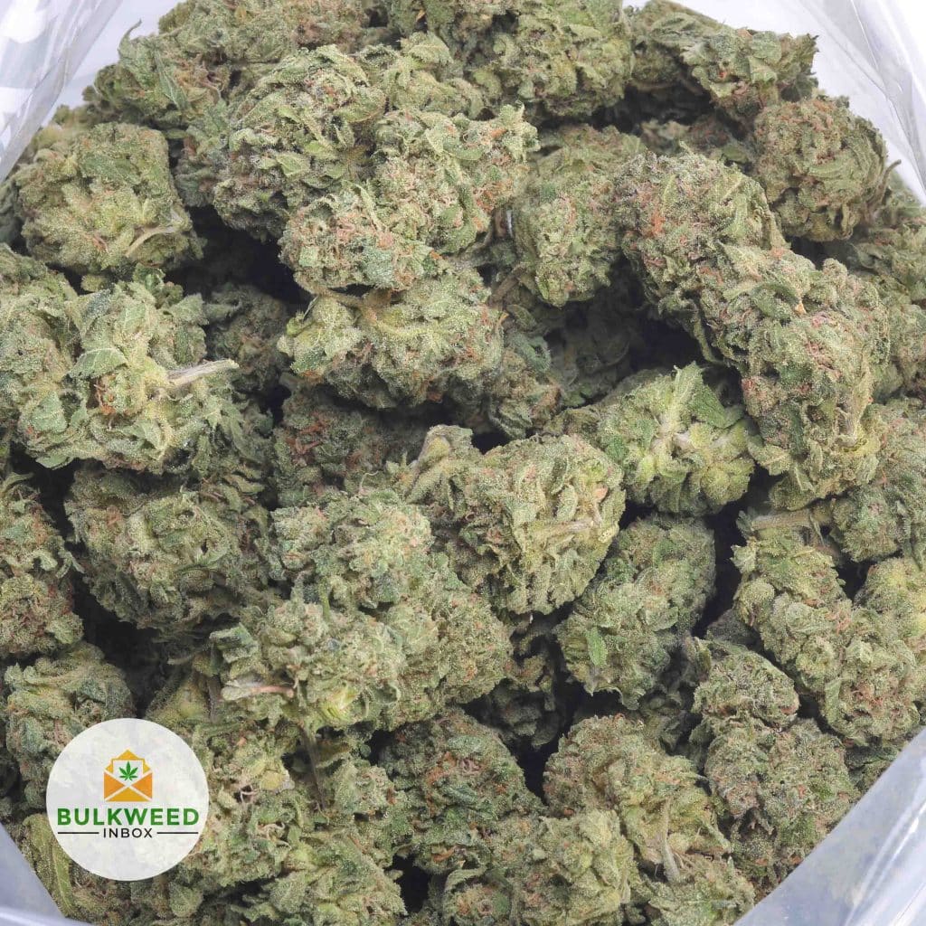 SOUR-TANGIE-3