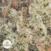 STAR-FIGHTER-POPCORN-2
