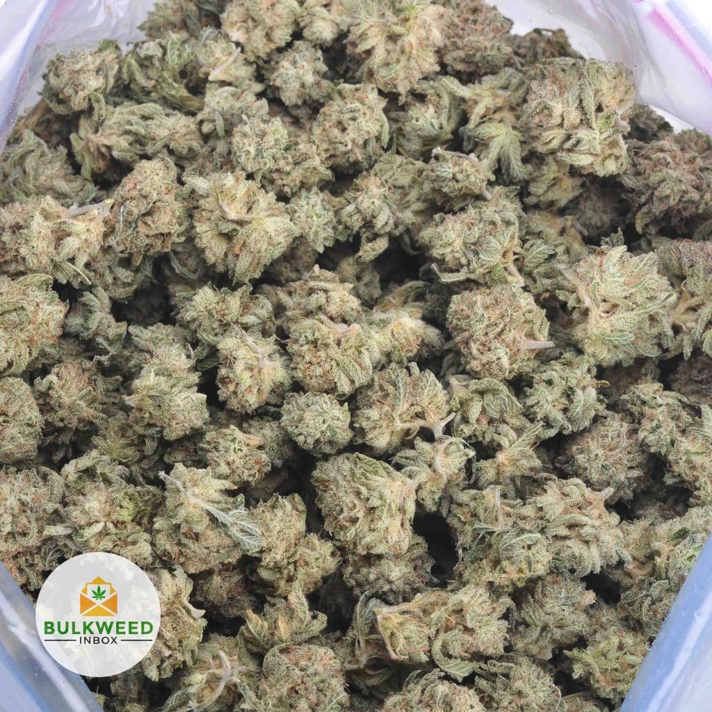 STAR-FIGHTER-POPCORN-3