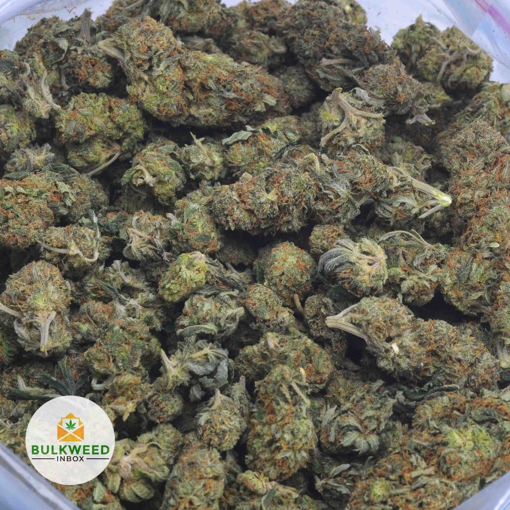 TROPICANA-BANANA-2