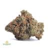 TUNA-KUSH