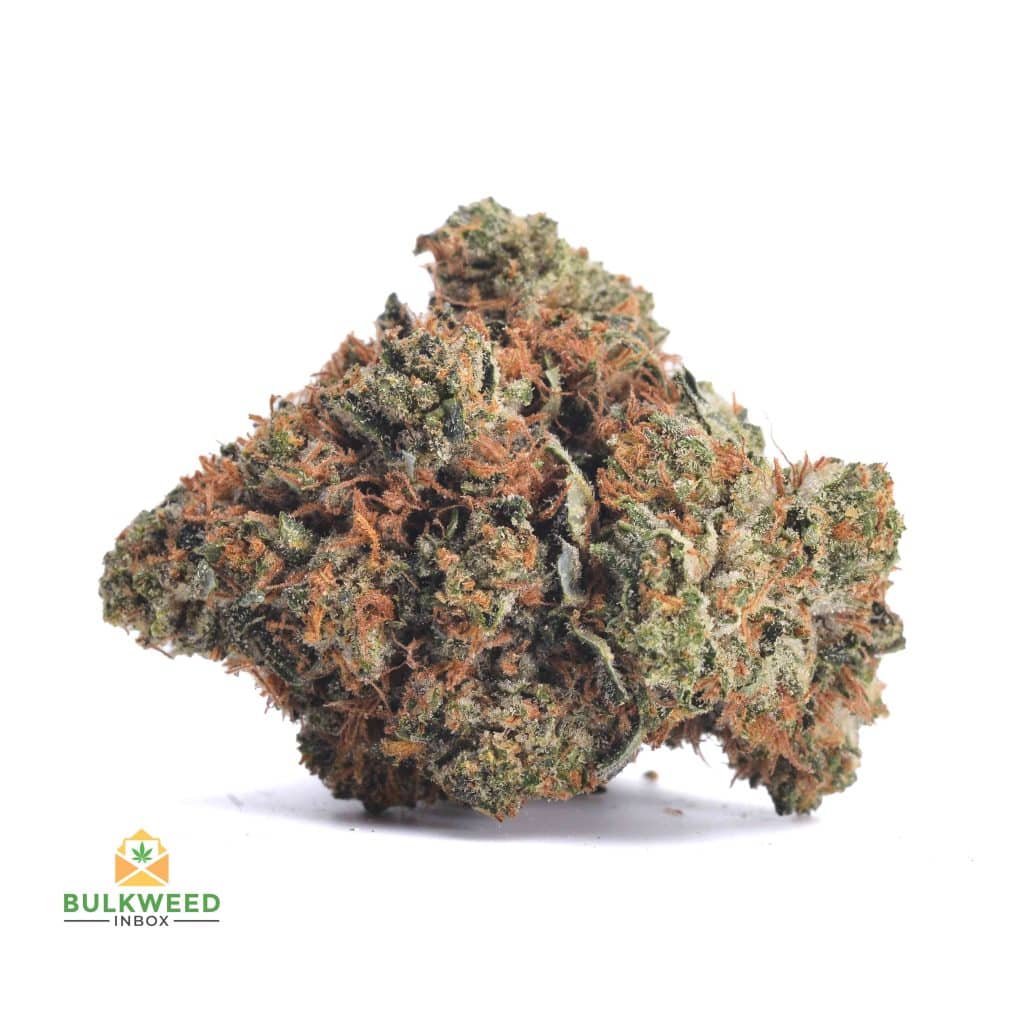 TUNA-KUSH