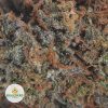 TUNA-KUSH-2