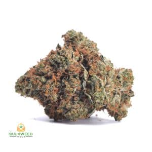 TUNA-KUSH