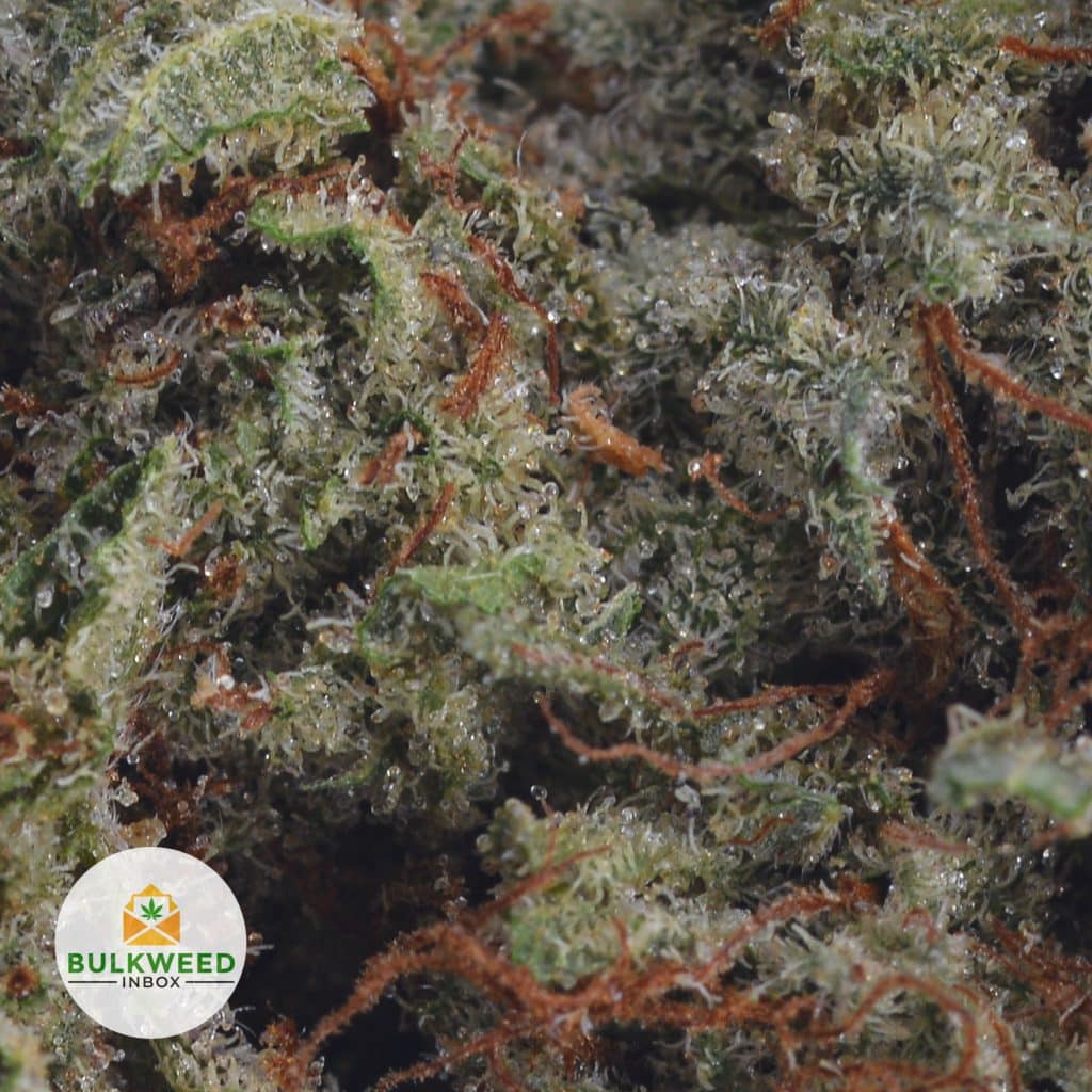 UBC-CHEMO-2