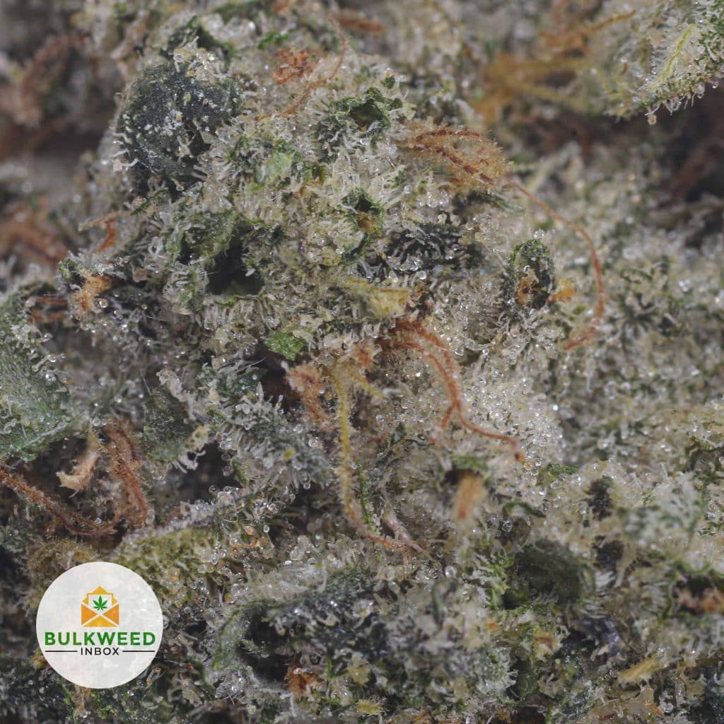 WHITE-DIAMOND-2