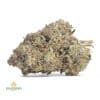 WHITE-WIDOW