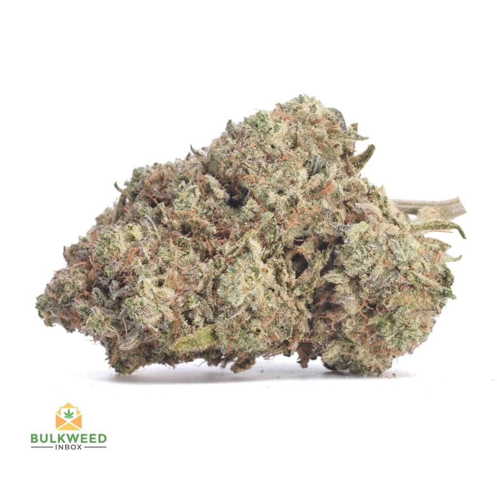 WHITE-WIDOW