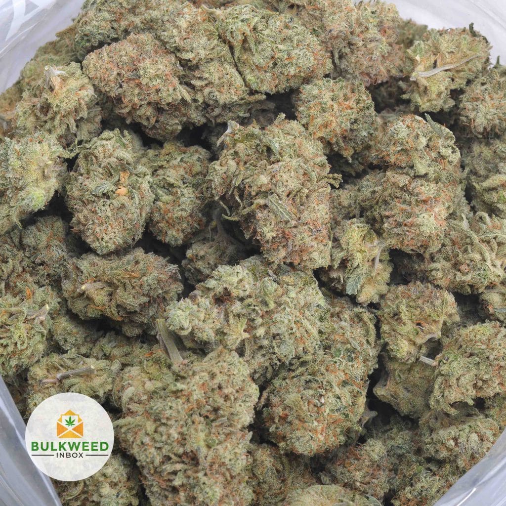 WHITE-WIDOW-3