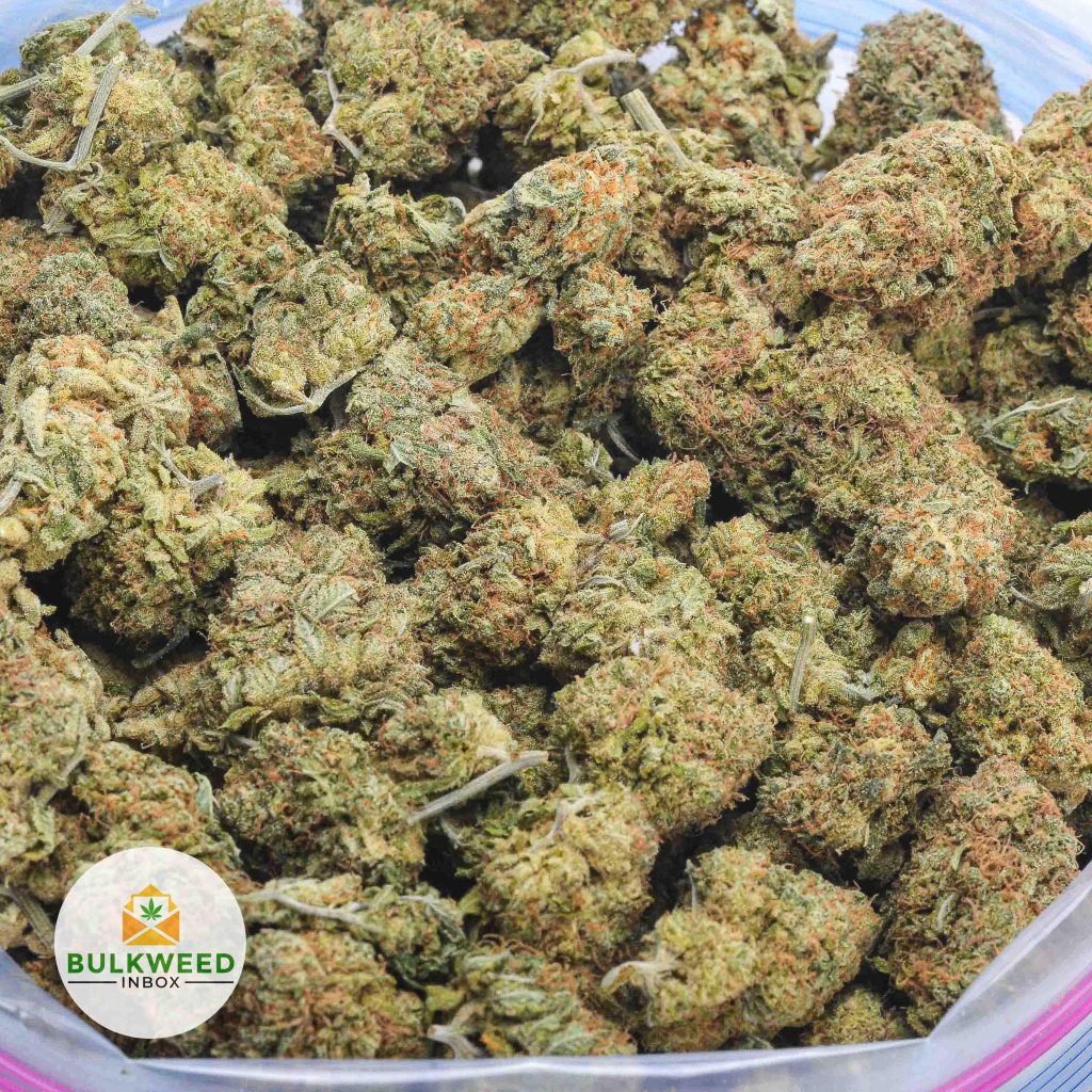 hawaiian-snow3