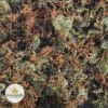 hindu-kush-2-2