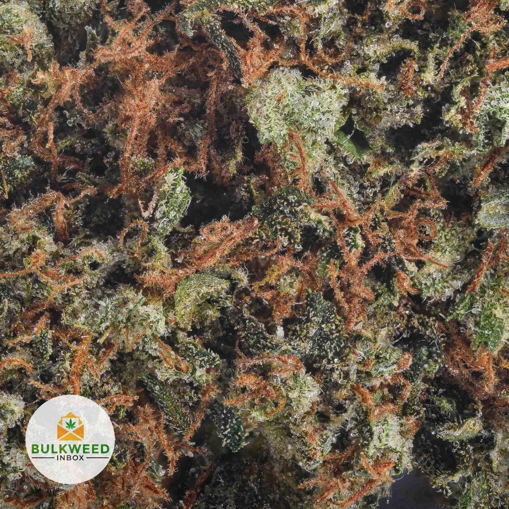 hindu-kush-2-2