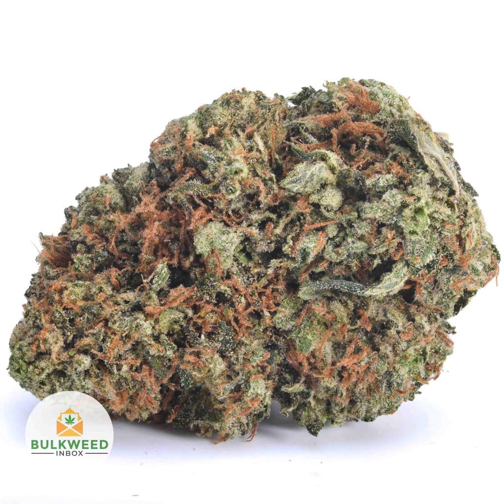 hindu-kush-7