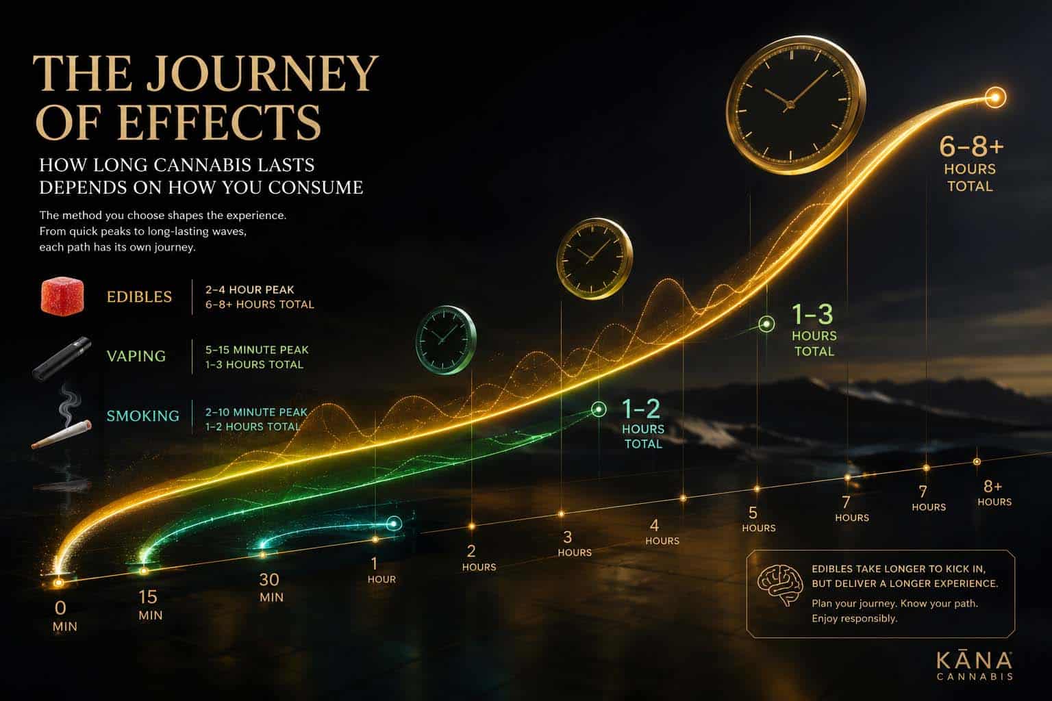 thc-gummy-effects-timeline-guide