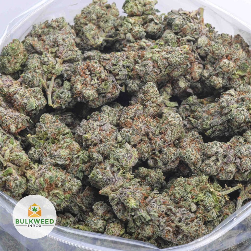 AYAHUASCA-PURPLE-AAA-2