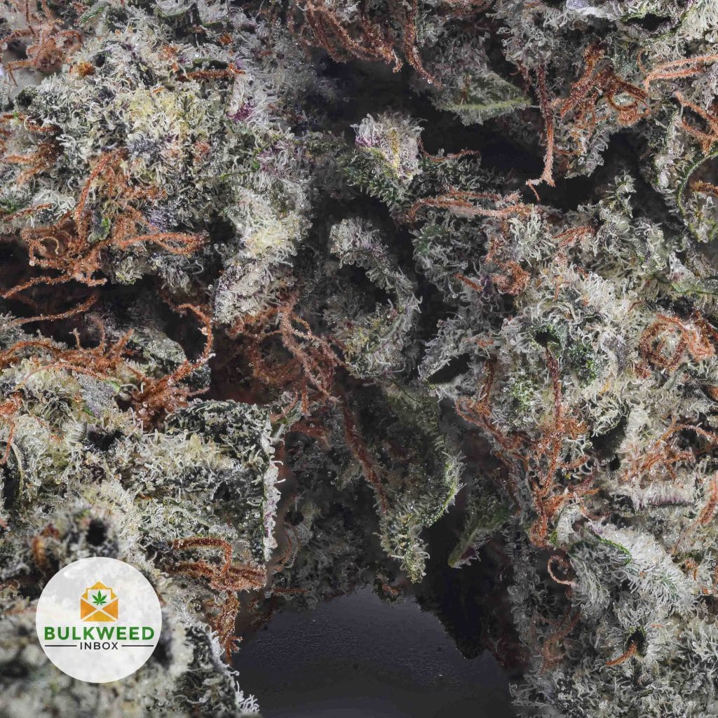AYAHUASCA-PURPLE-AAA2-2