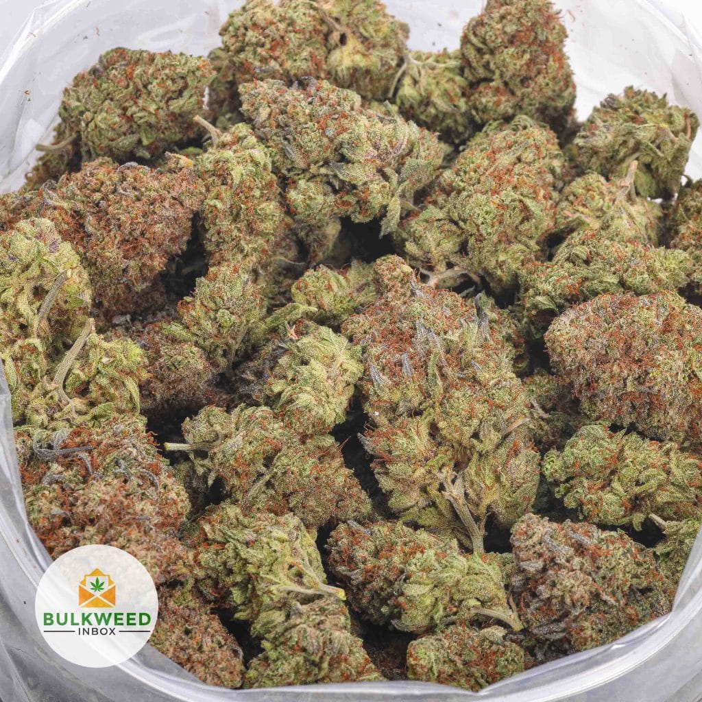 BIG-BUDDHA-CHEESE-AAA-2