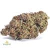 BIG-BUDDHA-CHEESE-AAA1-2