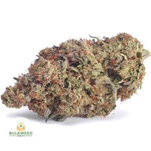 BIG-BUDDHA-CHEESE-AAA1-2