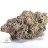 BISCOTTI-AAA1-2