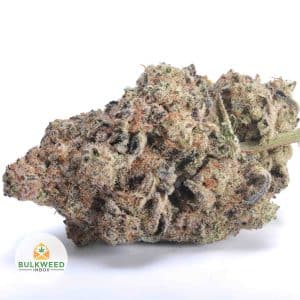 BISCOTTI-AAA1-2