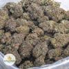 BLACK-DOMINA-BBAAA-2
