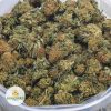 BLACK-NUKEN-BB-2