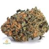 BLACK-NUKEN-BB1-2