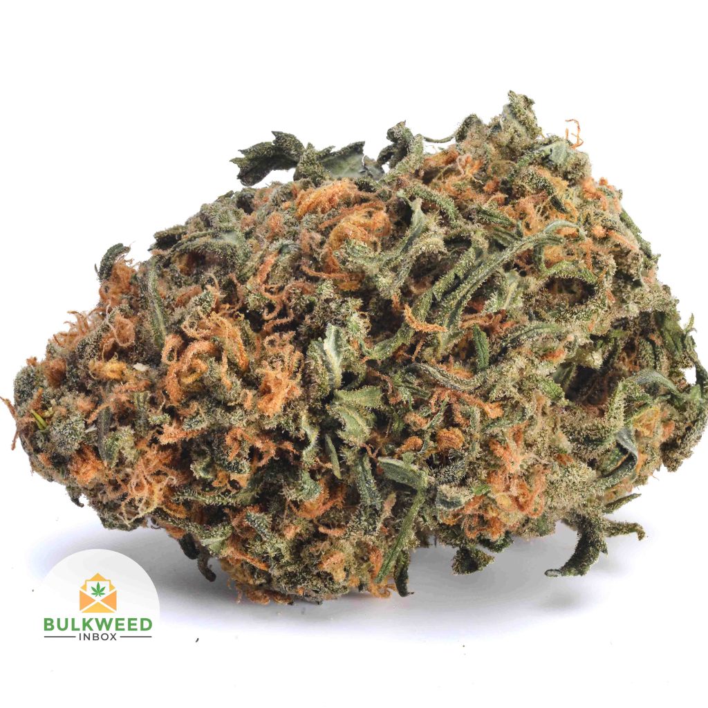 BLACK-NUKEN-BB1-2