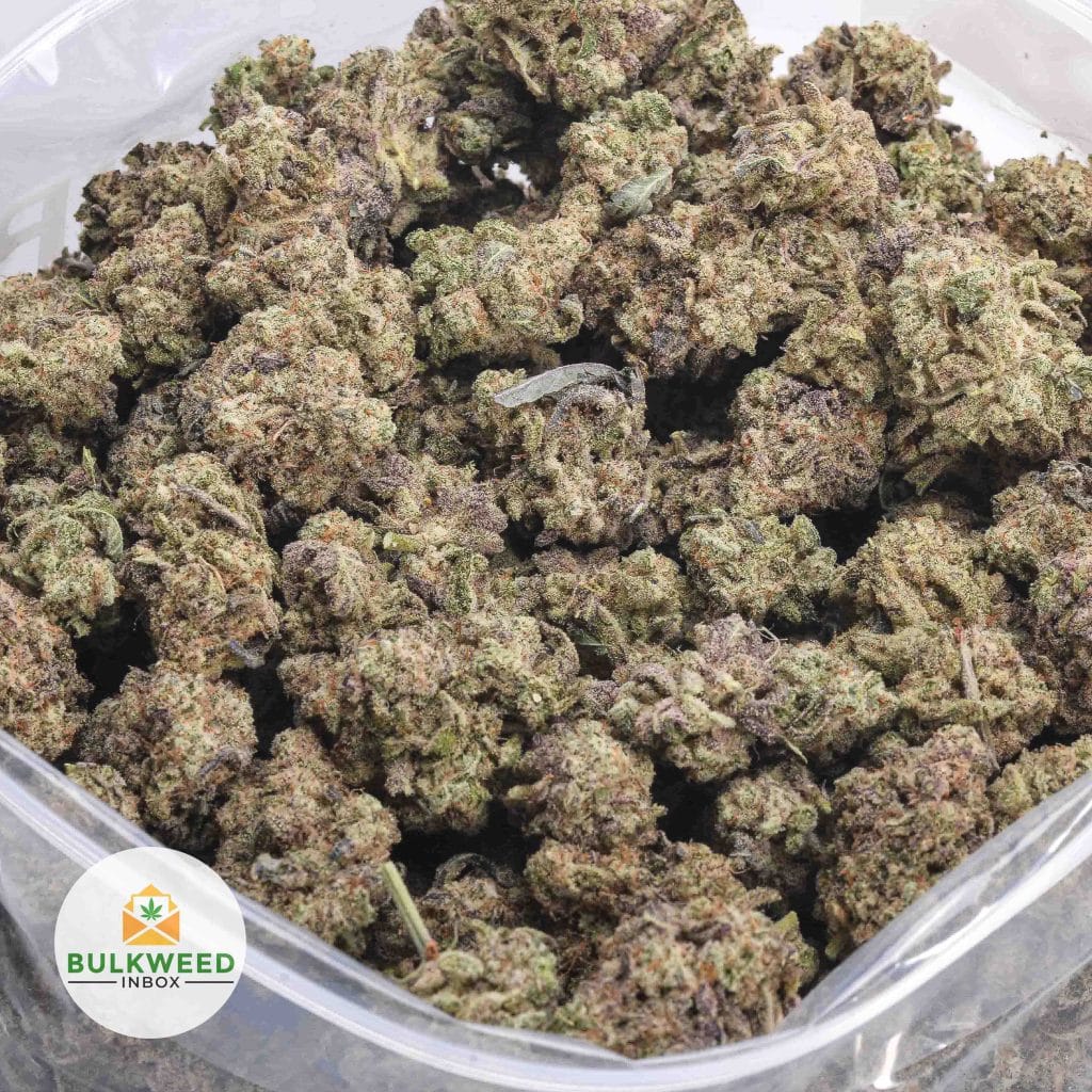 BLUE-WIDOW-AAA-2