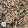 CHEMDAWG-AAA2-2