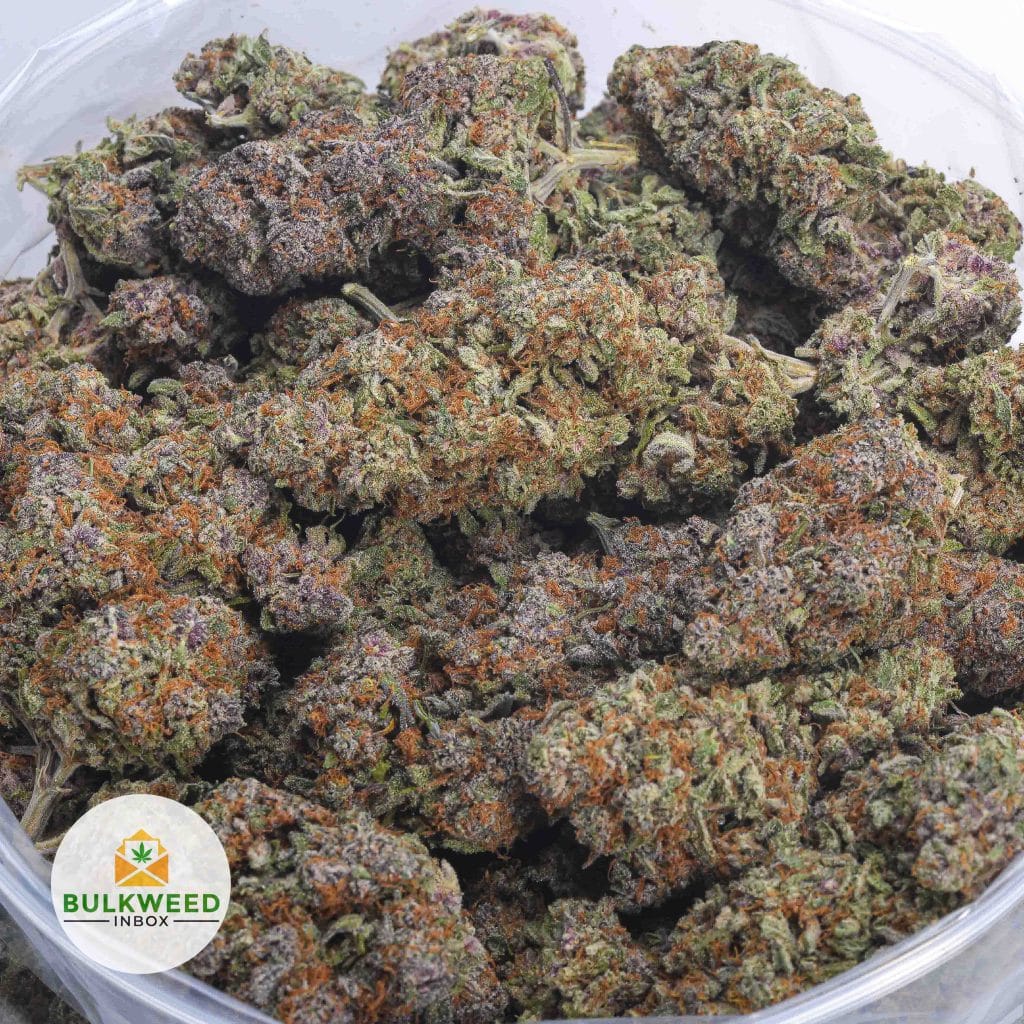 DURBAN-POISON-AAA-2