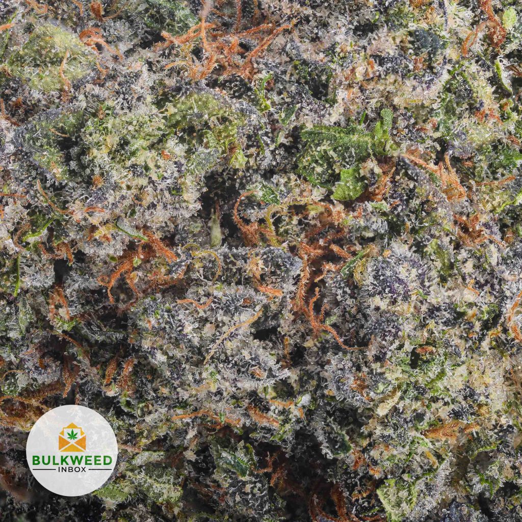 FULL-MOON-KOOTNEY-CRAFT-FARMS-AAAA2-2