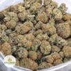 G13-AAA-2