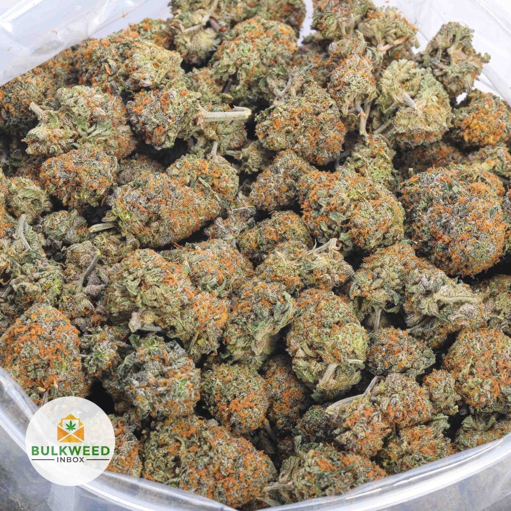 G13-AAA-2