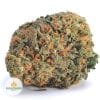 HAZE-BERRY-AA1-2