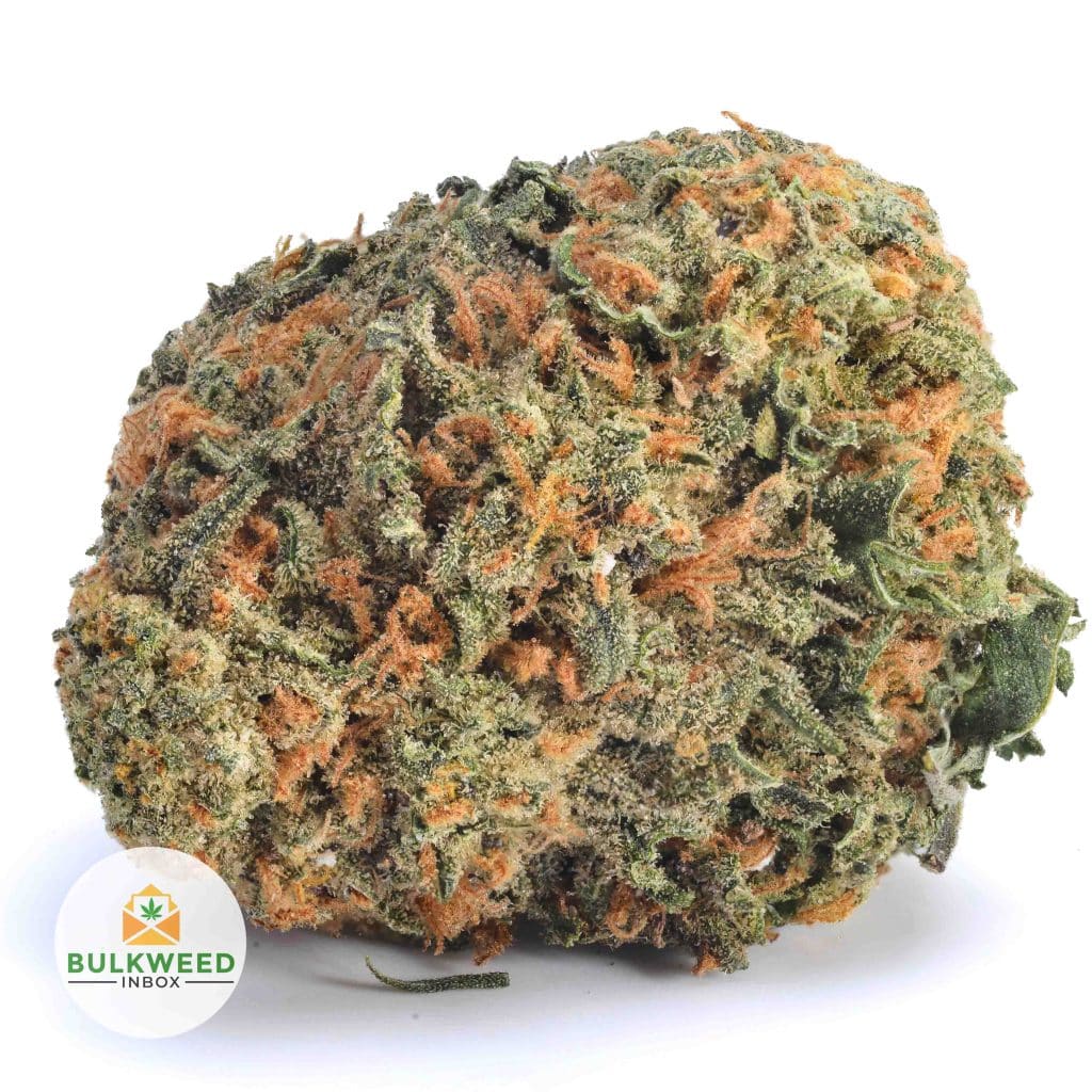 HAZE-BERRY-AA1-2
