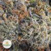 KUSH-GOD-AAAA2-2