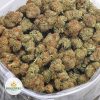 OG-KUSH-BB-2