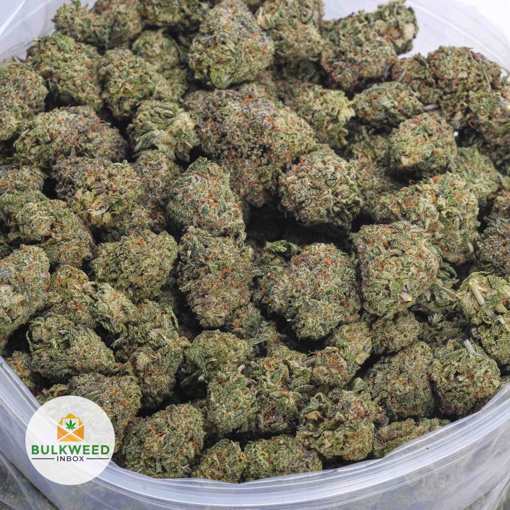 PINK-BERRY-AAA-2