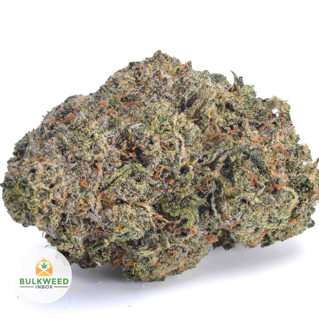 PINK-BERRY-AAA1-2