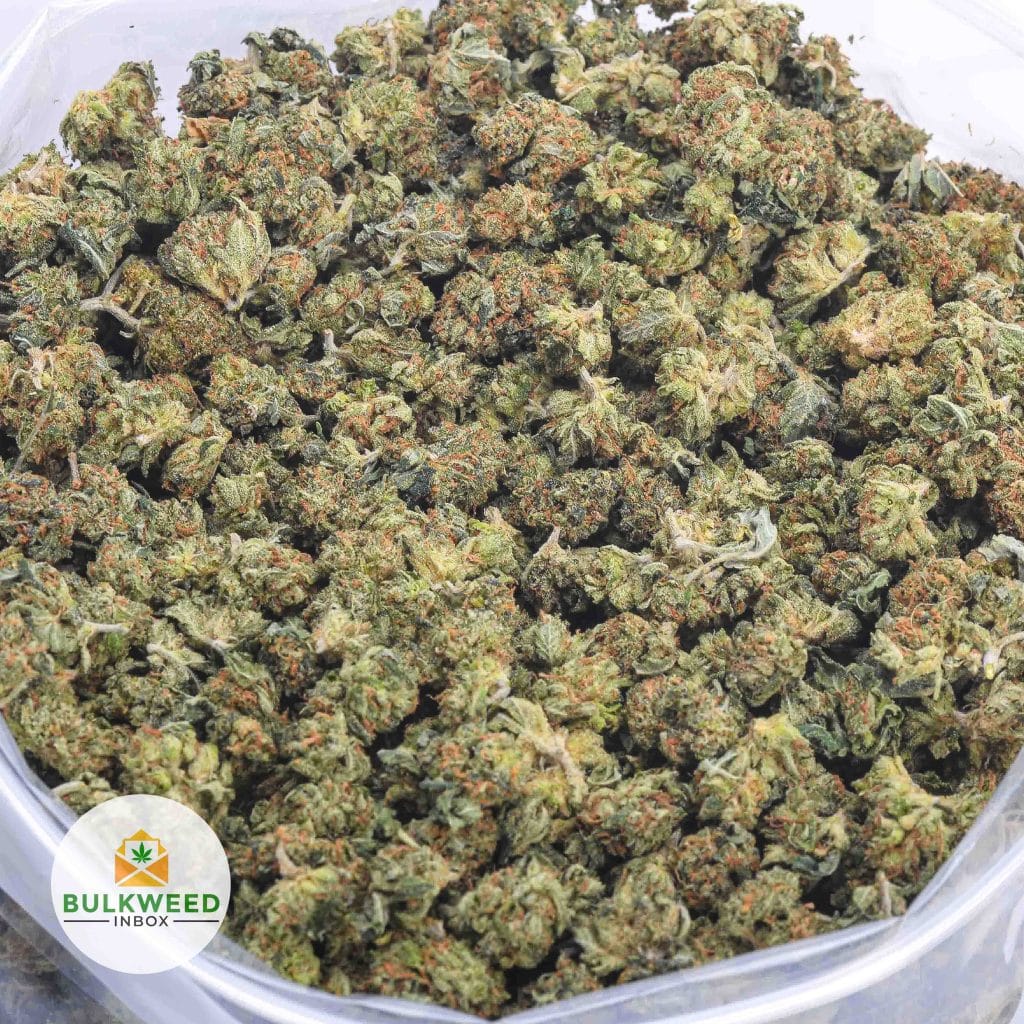 PINK-BUBBA-POPCORN-2