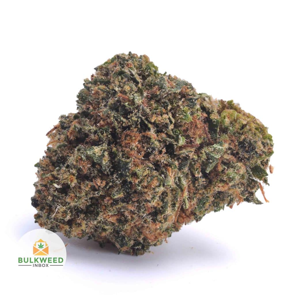 PINK-BUBBA-POPCORN1-2