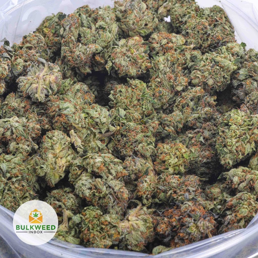 PINK-CHAMPAGNE-AAA-2