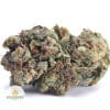 PINK-CHAMPAGNE-AAA1-2