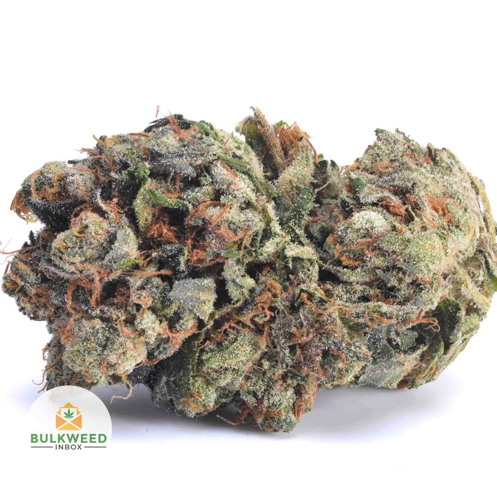 PINK-CHAMPAGNE-AAA1-2