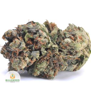 PINK-CHAMPAGNE-AAA1-2