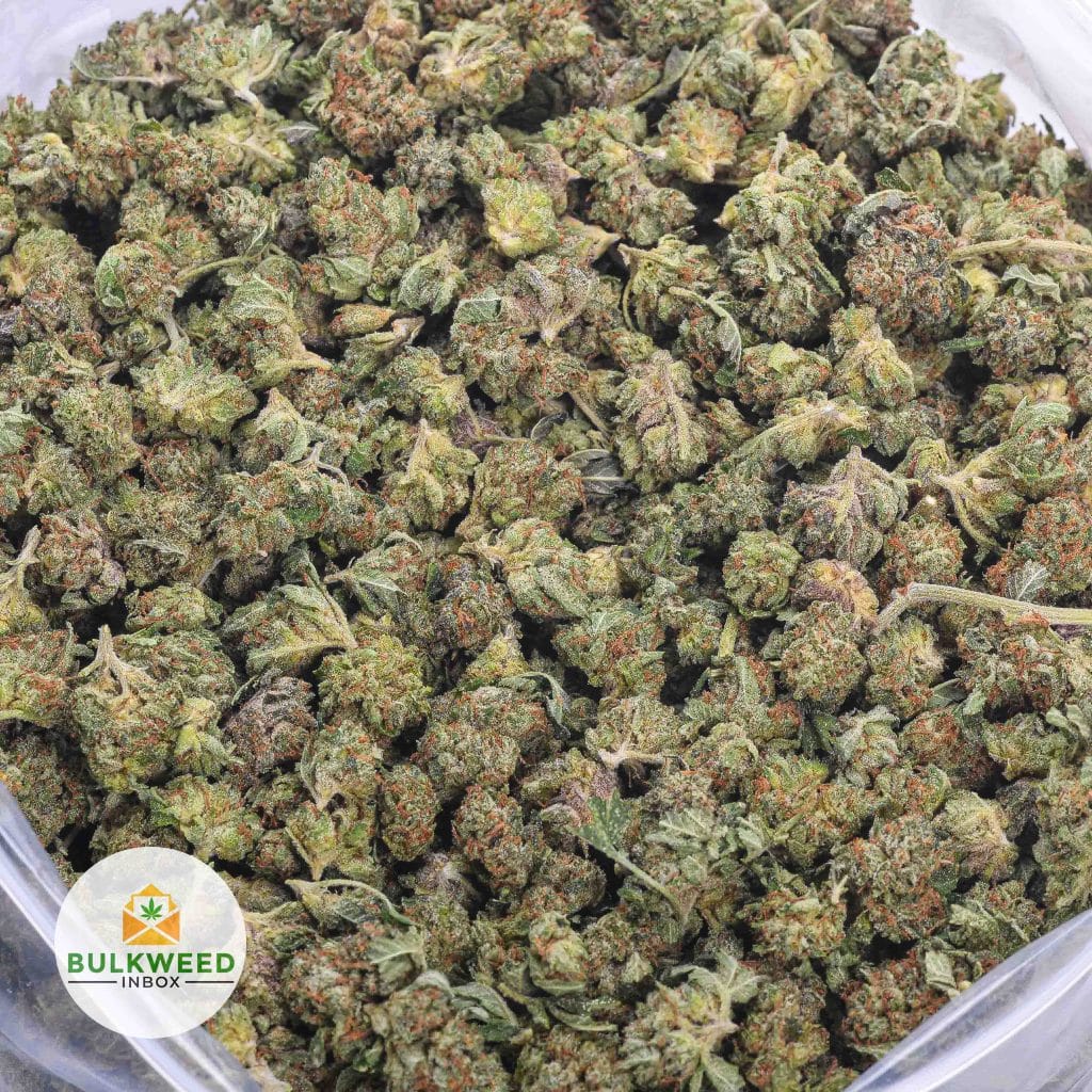 PINK-GAS-POPCORN-AAA-2