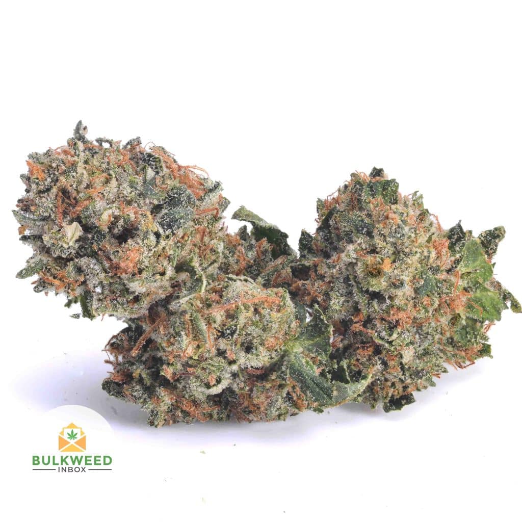 PINK-GAS-POPCORN-AAA1-2